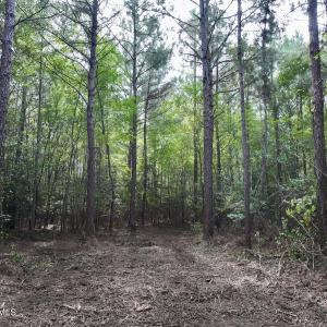 Photo #11 of Cupelo, Walstonburg, NC 9.6 acres