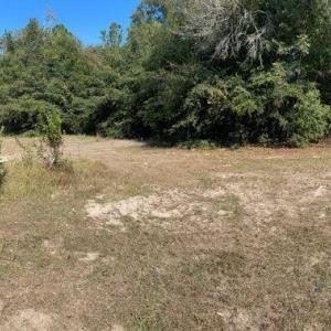 Photo #4 of 324 Goodman, Jackson, SC 1.9 acres