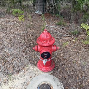 Photo #11 of 324 Goodman, Jackson, SC 1.9 acres