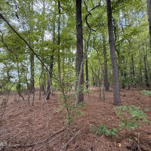 Photo #2 of Lot 2b Holland, Greenville, NC 10.9 acres