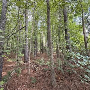 Photo #5 of Lot 2b Holland, Greenville, NC 10.9 acres