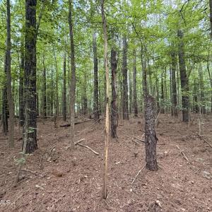 Photo #4 of Lot 2b Holland, Greenville, NC 10.9 acres
