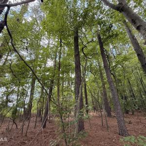 Photo #3 of Lot 2b Holland, Greenville, NC 10.9 acres