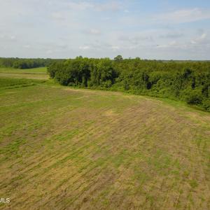 Photo #3 of 1 Nc 41, Wallace, NC 23.2 acres