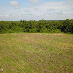 Photo #1 of 1 Nc 41, Wallace, NC 23.2 acres