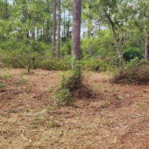Photo #22 of 4 Pike, Boiling Spring Lakes, NC 1.1 acres