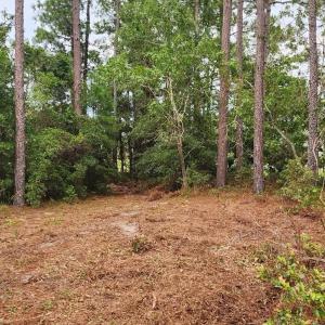 Photo #23 of 4 Pike, Boiling Spring Lakes, NC 1.1 acres