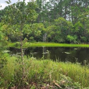 Photo #37 of 4 Pike, Boiling Spring Lakes, NC 1.1 acres