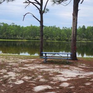 Photo #45 of 4 Pike, Boiling Spring Lakes, NC 1.1 acres
