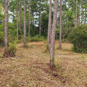 Photo #38 of 4 Pike, Boiling Spring Lakes, NC 1.1 acres