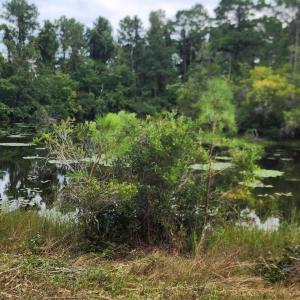 Photo #40 of 4 Pike, Boiling Spring Lakes, NC 1.1 acres