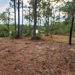Photo #30 of 4 Pike, Boiling Spring Lakes, NC 1.1 acres