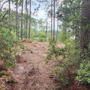 Photo #29 of 4 Pike, Boiling Spring Lakes, NC 1.1 acres