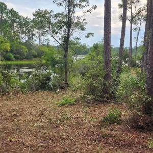 Photo #26 of 4 Pike, Boiling Spring Lakes, NC 1.1 acres