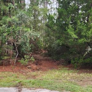 Photo #28 of 4 Pike, Boiling Spring Lakes, NC 1.1 acres