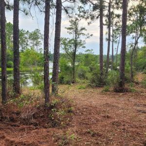 Photo #27 of 4 Pike, Boiling Spring Lakes, NC 1.1 acres