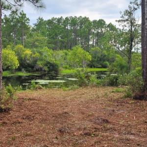 Photo #33 of 4 Pike, Boiling Spring Lakes, NC 1.1 acres