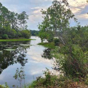 Photo #25 of 4 Pike, Boiling Spring Lakes, NC 1.1 acres