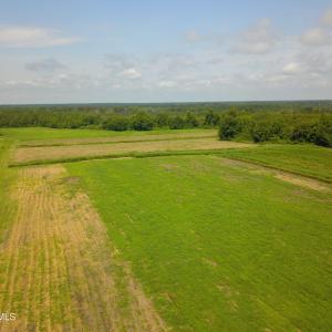 Photo #2 of 2 Nc 41, Wallace, NC 32.4 acres