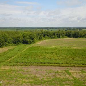 Photo #5 of 2 Nc 41, Wallace, NC 32.4 acres