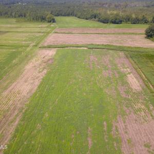 Photo #1 of 2 Nc 41, Wallace, NC 32.4 acres
