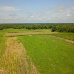 Photo #3 of 2 Nc 41, Wallace, NC 32.4 acres