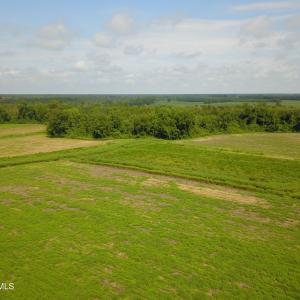 Photo #4 of 2 Nc 41, Wallace, NC 32.4 acres