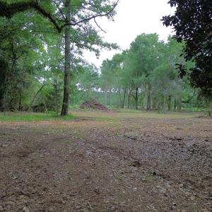 Photo #4 of Tbd/Lot 1 Elmore, Laurinburg, NC 1.0 acres