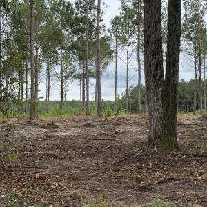 Photo #3 of Tbd/Lot 1 Elmore, Laurinburg, NC 1.0 acres