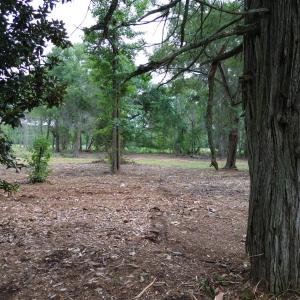 Photo #3 of Tbd/Lot 2 Elmore, Laurinburg, NC 1.1 acres