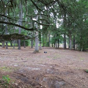 Photo #3 of Tbd/Lot 3 Elmore, Laurinburg, NC 1.4 acres