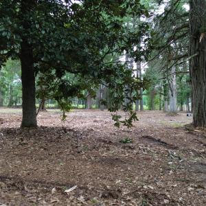Photo #1 of Tbd/Lot 3 Elmore, Laurinburg, NC 1.4 acres
