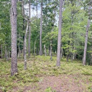 Photo #4 of 671 Plantation, Oriental, NC 1.9 acres