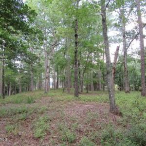 Photo #5 of 671 Plantation, Oriental, NC 1.9 acres