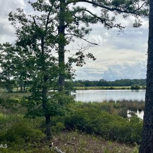 Photo #8 of 671 Plantation, Oriental, NC 1.9 acres