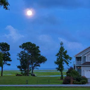 Photo #6 of 8 Scotts Hill Loop, Wilmington, NC 0.6 acres