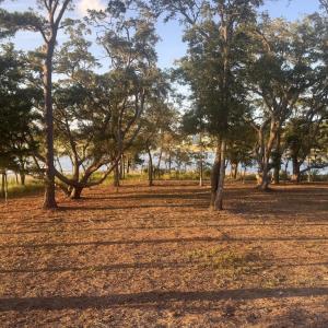 Photo #14 of 3810 Windy Point, Supply, NC 0.7 acres