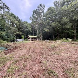 Photo #2 of 182 Rock, Maple Hill, NC 0.7 acres