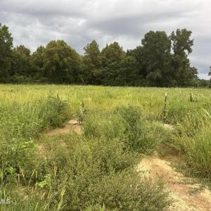 Photo #6 of 8068 Clarendon Chadbourn, Chadbourn, NC 4.0 acres
