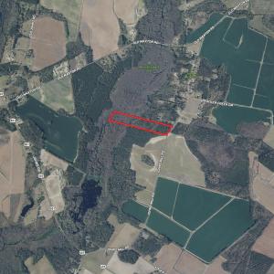 Photo #5 of Tbd Johns Mill, Maxton, NC 20.0 acres
