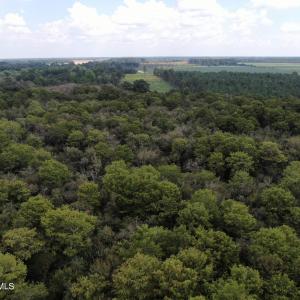 Photo #14 of Tbd Johns Mill, Maxton, NC 20.0 acres