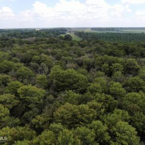 Photo #15 of Tbd Johns Mill, Maxton, NC 20.0 acres