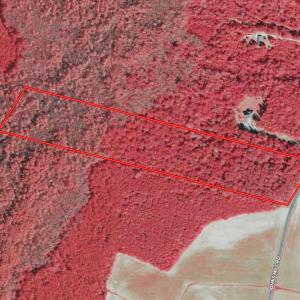 Photo #4 of Tbd Johns Mill, Maxton, NC 20.0 acres