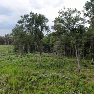 Photo #23 of Tbd Johns Mill, Maxton, NC 20.0 acres
