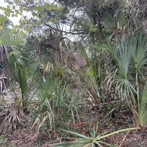 Photo #2 of 12 Captain Charlies, Bald Head Island, NC 0.2 acres