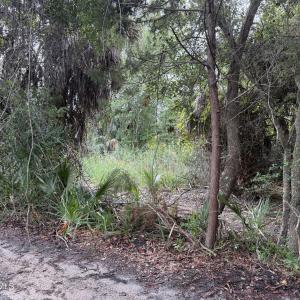 Photo #1 of 12 Captain Charlies, Bald Head Island, NC 0.2 acres