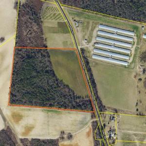 Photo #1 of King, Clinton, NC 24.6 acres