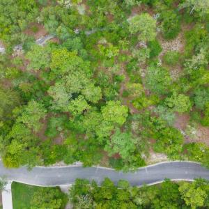 Photo #10 of 676 Parish, Supply, NC 0.4 acres