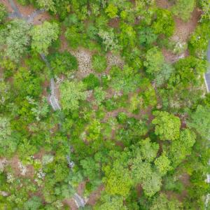 Photo #9 of 676 Parish, Supply, NC 0.4 acres
