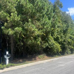 Photo #2 of 103 Capn Pat, Morehead City, NC 0.5 acres